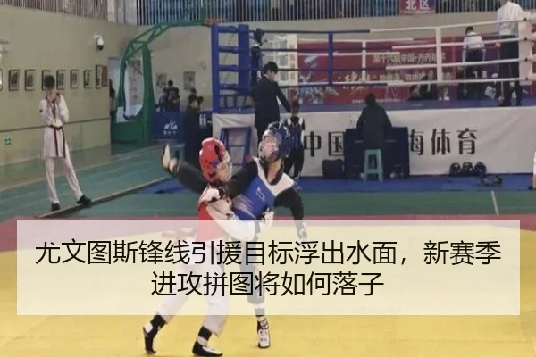 尤文图斯锋线引援目标浮出水面，新赛季进攻拼图将如何落子